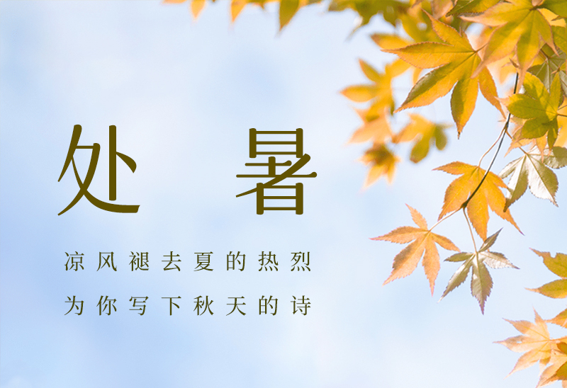 suncitygroup太阳集团丨暑去秋来